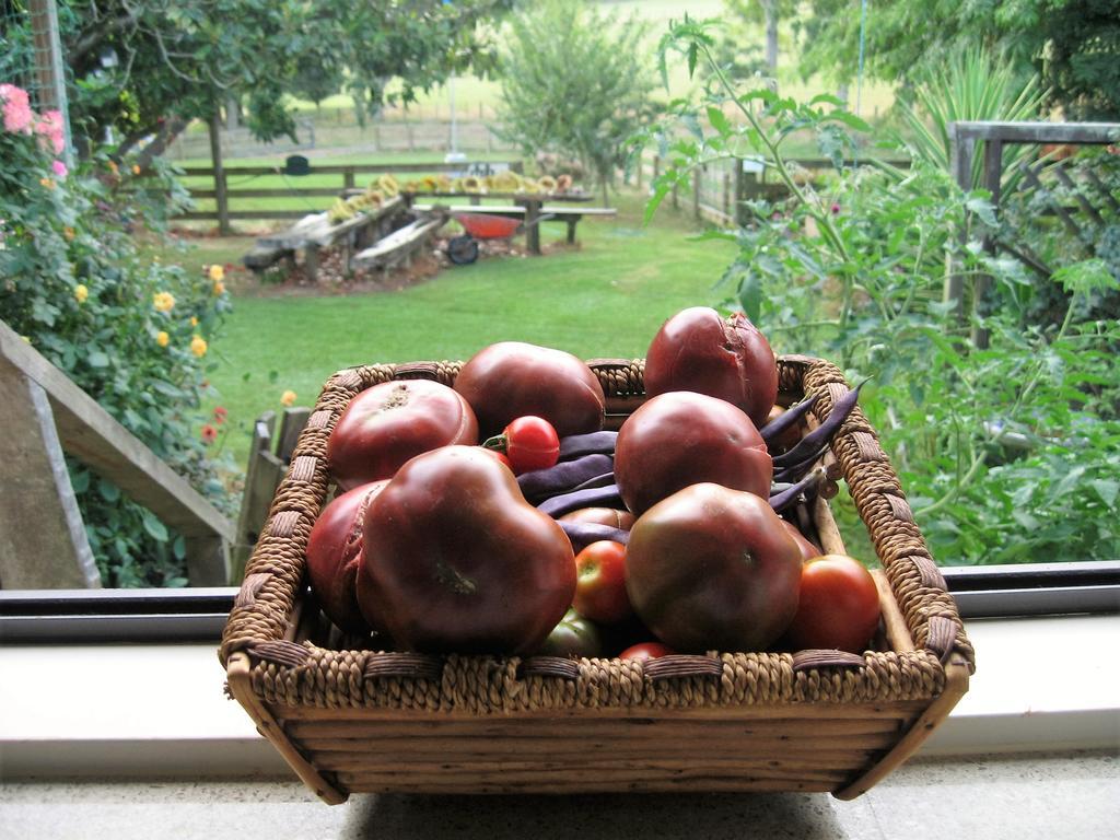 Miranda Orchard Cottage Esterno foto