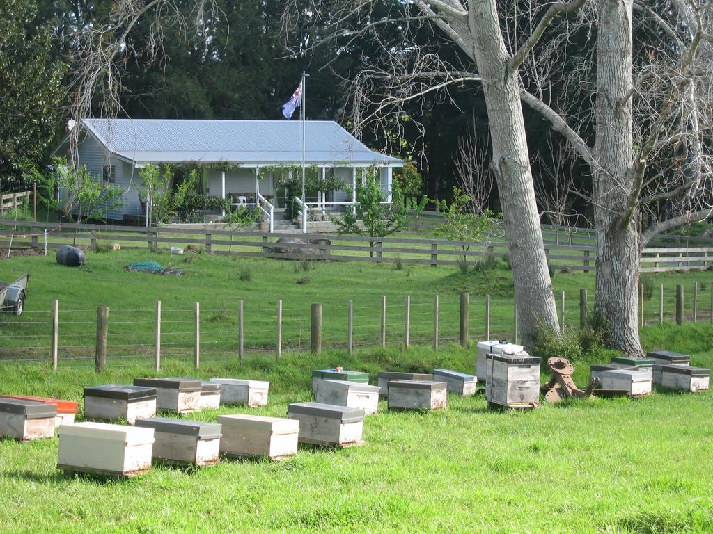 Miranda Orchard Cottage Esterno foto